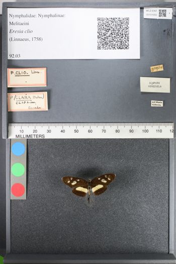 Media type: image;   Entomology 101055